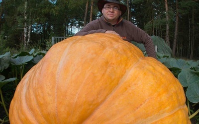 Wyrosła sobie roślinka