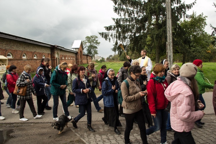 Pielgrzymka katechetów i nauczycieli