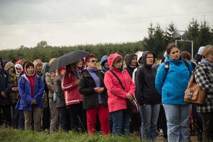 Pielgrzymka katechetów i nauczycieli