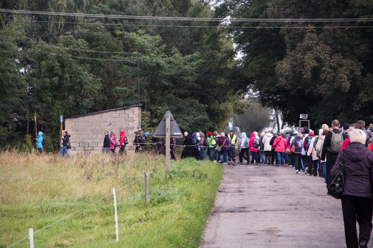 Pielgrzymka katechetów i nauczycieli