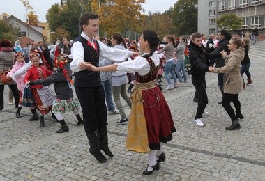 Rekord w wycinaniu hołubca