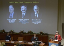 Nobel z medycyny przyznany