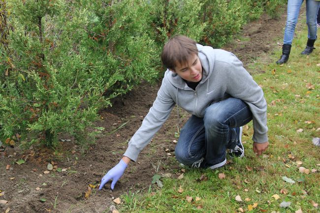 Akcja "Żonkil" w koszalińskim hospicjum