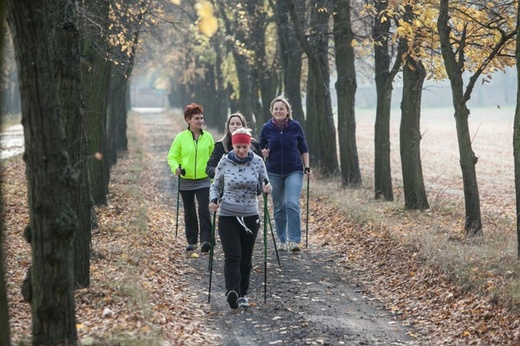 Sport w zasięgu ręki