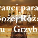 Brak tytułu