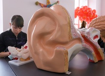 Wielkie ucho w muzeum
