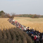 Pielgrzymka trzebnicka 2013