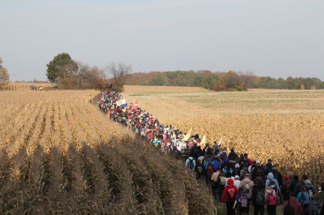 Pielgrzymka trzebnicka 2013