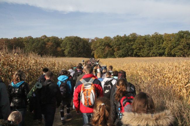 Pielgrzymka trzebnicka 2013