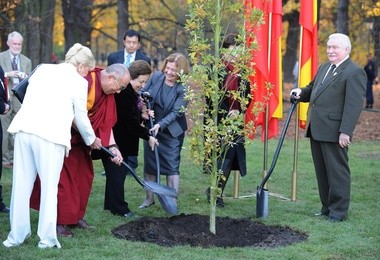 Nobliści posadzili drzewo