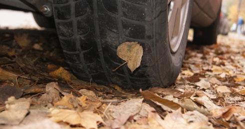 Jesienią na drodze kierowcy mogą spotkać dużo liści