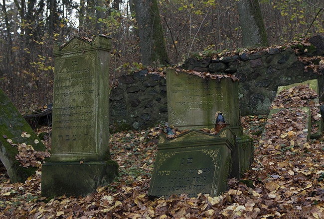 Cmentarz żydowski w Świdwinie