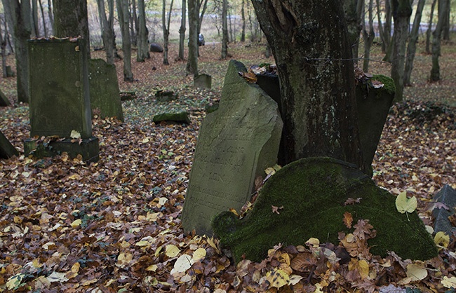 Cmentarz żydowski w Świdwinie