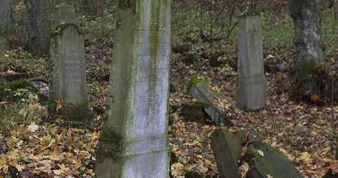 Cmentarz żydowski w Świdwinie