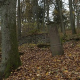 Cmentarz żydowski w Świdwinie
