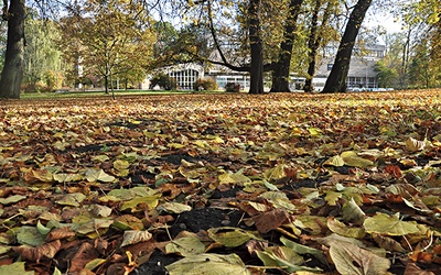  Park, w którego centrum znajduje się plac Polonii z Koszalińską Biblioteką Publiczną, to teren starego cmentarza, czynnego w latach 1819–1926.  Po jego zapełnieniu otwarto nowy cmentarz przy ul. Gnieźnieńskiej