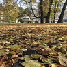  Park, w którego centrum znajduje się plac Polonii z Koszalińską Biblioteką Publiczną, to teren starego cmentarza, czynnego w latach 1819–1926.  Po jego zapełnieniu otwarto nowy cmentarz przy ul. Gnieźnieńskiej