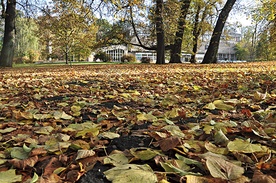  Park, w którego centrum znajduje się plac Polonii z Koszalińską Biblioteką Publiczną, to teren starego cmentarza, czynnego w latach 1819–1926.  Po jego zapełnieniu otwarto nowy cmentarz przy ul. Gnieźnieńskiej