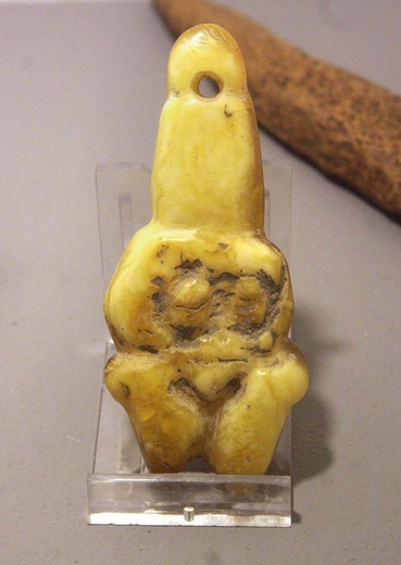 Bursztynowa wystawa w Muzeum Przyrodniczym