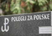 Polegli za Polskę