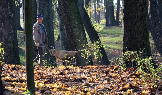 Ostatni dzień października był też ostatnim dniem pracy ekipy remontowej w Ogrodzie Saskim.