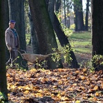 Ogród Saski po remoncie