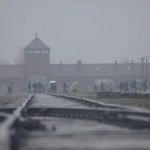 Droga Krzyżowa w byłym KL Birkenau