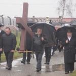 Droga Krzyżowa w byłym KL Birkenau