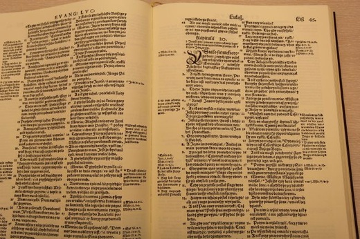 Biblia brzeska