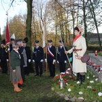 Święto Niepodległości w Starej Wsi