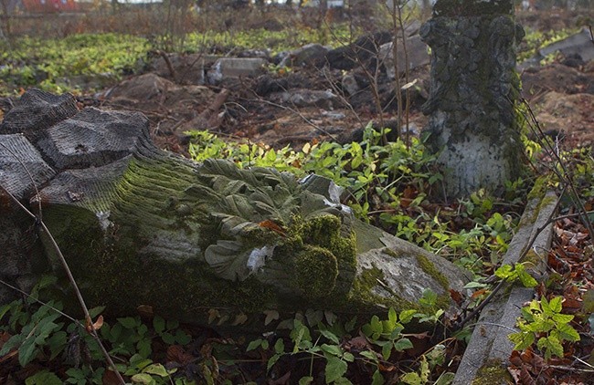 Ewangelicki cmentarz w Jastrowiu 