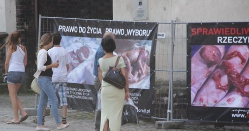 Zostań aktywnym proliferem
