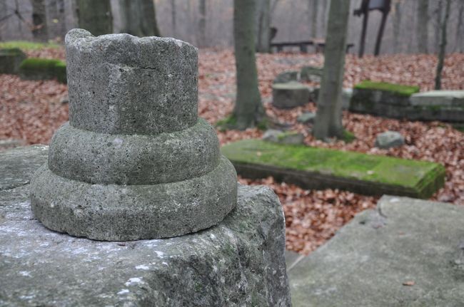 Groby Bismarcków w Warcinie