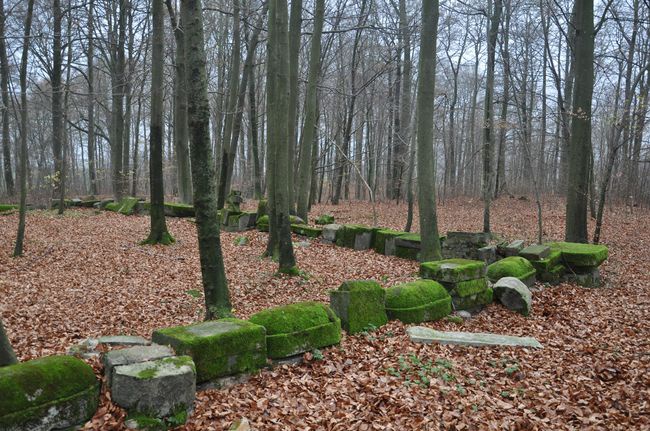 Groby Bismarcków w Warcinie