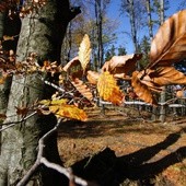 Kościół o sprawiedliwości klimatycznej