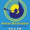 Anioł Beskidów