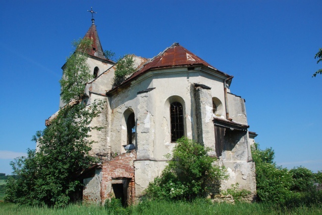 Kijów, Kraków, Lubań