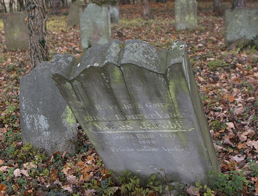 Cmentarz żydowski w Jastrowiu