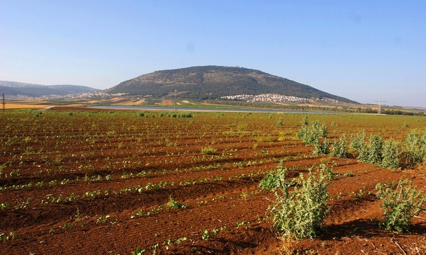Izrael