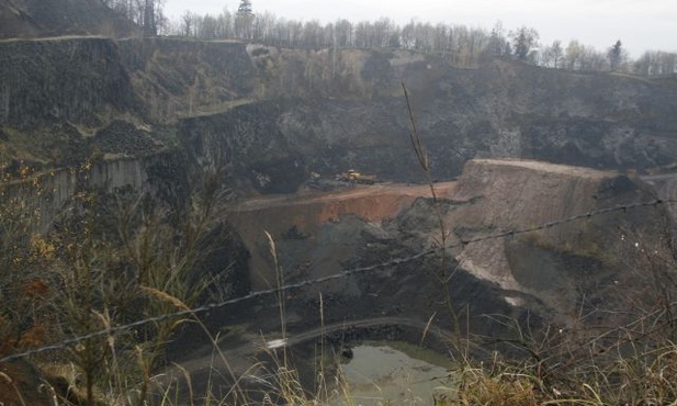 Barbórka na bazalcie