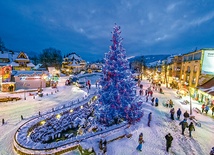 Niech psy i koty gadają