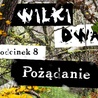 Pożądanie