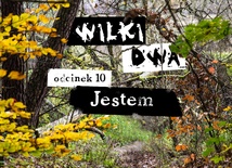 Jestem