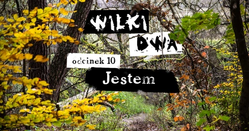 Jestem