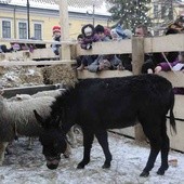 Kolędowanie ze zwierzakami