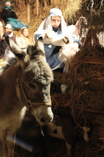 Rok 2013 w obiektywie Gościa Opolskiego