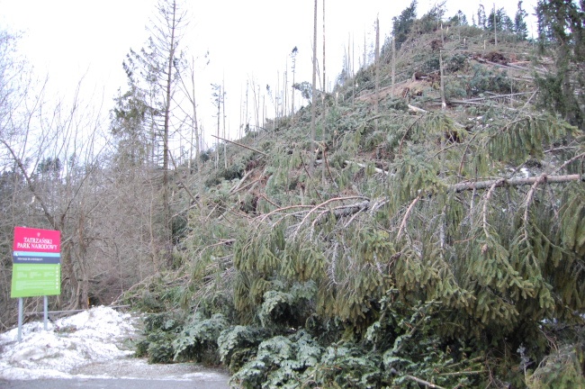 Zakopane po halnym