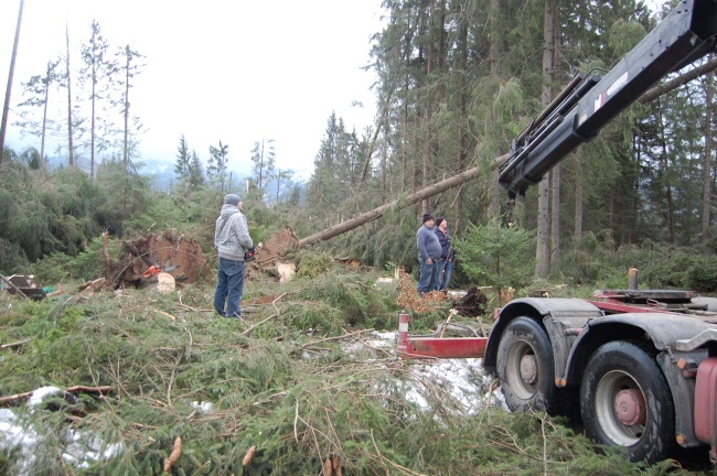 Zakopane po halnym