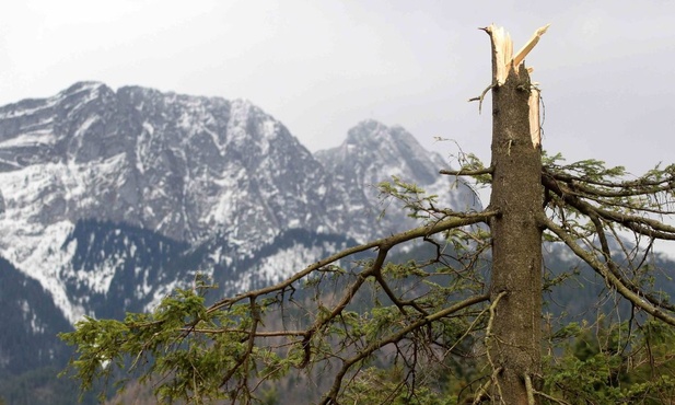 Halny powrócił w Tatry