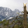 Halny powrócił w Tatry